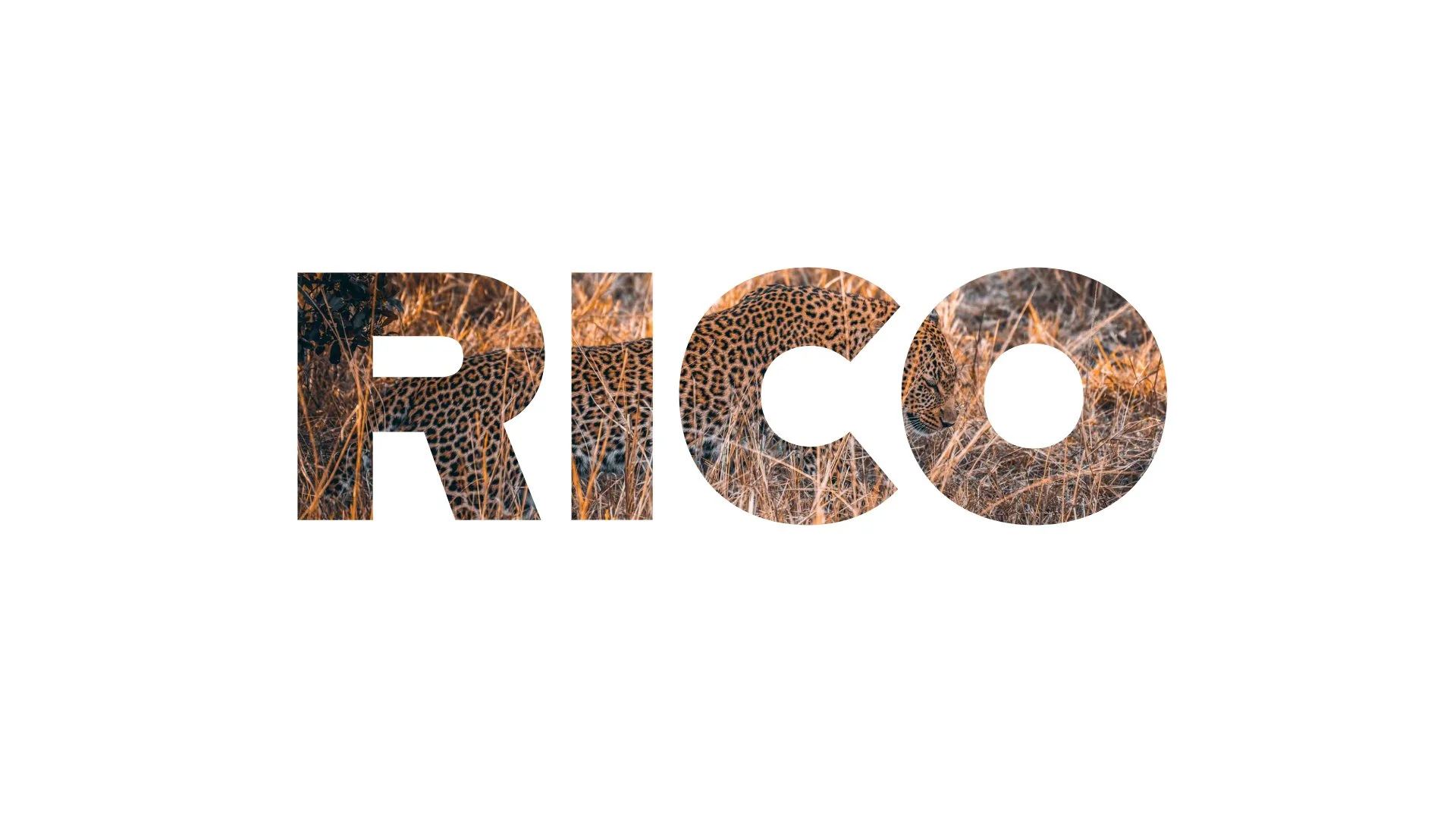 rico x. | documentary photographer